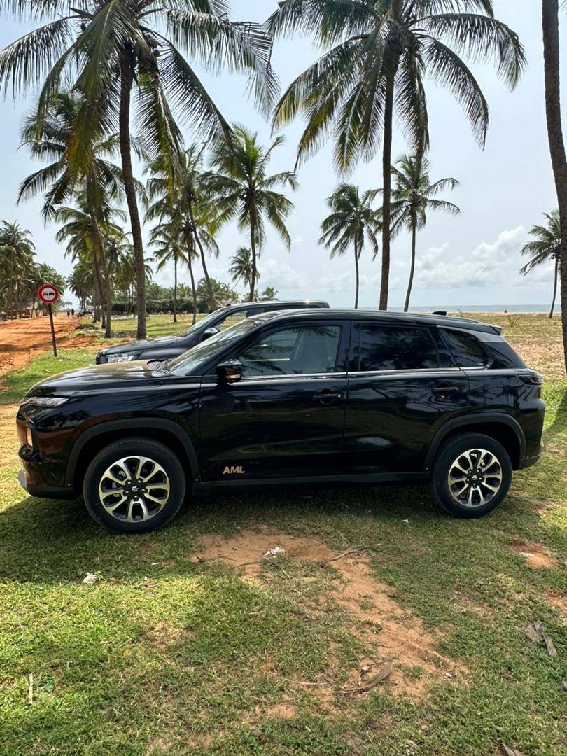 Suzuki Grand Vitara noir vue latérale, cocotiers du littoral